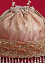 Amyra Pink Silk Organza Bucket BagShop Jashn