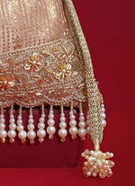 Amyra Pink Silk Organza PotliShop Jashn